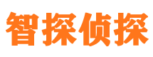 泰宁侦探公司